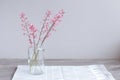 Pink flowers in a glass jar on a light gray background. Mothers Day.