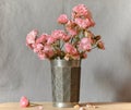 Pink flowers on a gray background Royalty Free Stock Photo