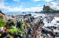 Pink flowers grow among coastal rocks in Scotland Royalty Free Stock Photo