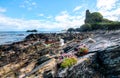 Pink flowers grow among coastal rocks in Scotland Royalty Free Stock Photo