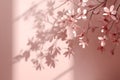 Soft pink flowers cast shadows on a light pink wall in a bright room during the day Royalty Free Stock Photo