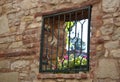 Iron fence window Royalty Free Stock Photo