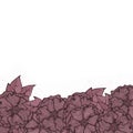 Pink flowers with leaves on white isolated background drawing with black liner.
