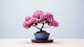 Pink Flowers In Modern Ceramic Bonsai Tree: Solarization Effect And Minimal Retouching