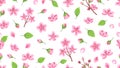 Pink flowers pattern. Blossom sakura, cherry tree floral ornament. Cloth print, romantic cute vector seamless texture Royalty Free Stock Photo