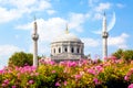 Pink flowers with Pertevniyal Valide Sultan Mosque, an Ottoman imperial mosque in Istanbul, Turkey. Summer sunny day with blue