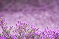 Pink flowers of Rhododendron mucronulatum. General view of flowering plant in the garden in early spring. Idyllic pattern with