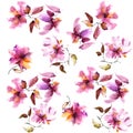 Pink flowers seamless pattern. Watercolor flowers set.