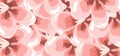 Pink flowers set design background vector Royalty Free Stock Photo