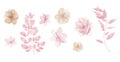 Pink flowers watercolor rose illustration. Watercolour Pink Beige floral isolated element set. Royalty Free Stock Photo