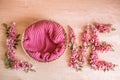 Pink flowers on a white background. Digital backdrop for newborn and baby photography.