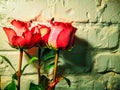 Pink flowers on a white brick wall background