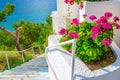 Pink flowers with white stairs by sea in Greece Royalty Free Stock Photo