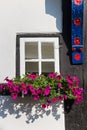 Pink flowers at a window in Tecklenburg Royalty Free Stock Photo