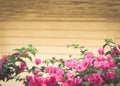 Art summer flowers frame background .Pink flowers on gray wooden boards Royalty Free Stock Photo