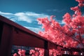 pink flowers on a wooden fence with a blue sky in the background Royalty Free Stock Photo