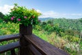 Pink flowers at wooden terrace with forest mountain and blue sky Royalty Free Stock Photo