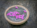 Pink flowers in a zen bowl.