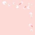 Pink flying petals isolated on light peach pink background. Cherry blossom. Frame. Vector Royalty Free Stock Photo