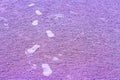 Pink of Footprint on cream sand for background Royalty Free Stock Photo