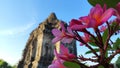 pink frangipani flowers cover the Kalasan temple