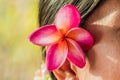 Pink frangipani flowers Tuck ear women. Royalty Free Stock Photo