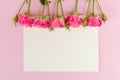 Pink fresh rose branches border and white paper card - empty space for text isolated on pastel background. Royalty Free Stock Photo
