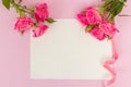 Pink fresh rose branches and white paper card - empty space for text isolated on pastel background. Royalty Free Stock Photo