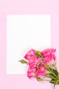 Pink fresh rose branches and white paper card - empty space for text isolated on pastel background. Royalty Free Stock Photo