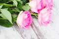 Pink fresh roses