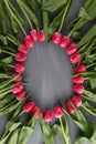 Pink Fresh Spring Tulips Botanical Art Floral Background Round Frame Wreath Wild Flowers Concept Woman`s day Greeting Royalty Free Stock Photo