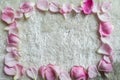 Pink fringed petals as decorative aframes.