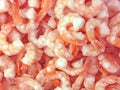 Pink frozen shrimps with ice. Uncooked seafood background