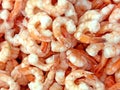 Pink frozen shrimps with ice. Uncooked seafood background