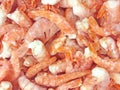 Pink frozen shrimps with ice. Uncooked seafood background