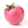 Pink fruit model on transparent background Royalty Free Stock Photo