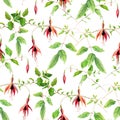 Pink fuchsia flowers. Repeating floral pattern. Water color