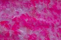 Pink, fuchsia hand painted texture, background - red paint brush strokes. Watercolor. Royalty Free Stock Photo