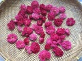 Pink full-bloomed Damask roses on bamboo flat basket