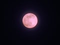 The `Pink` Full Super moon April 2020