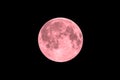 Pink full super moon Royalty Free Stock Photo