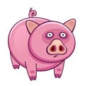 Pink funny pig