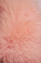 Pink fur texture