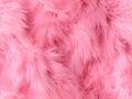 Pink fur texture, seamless warm background. Shaggy carpet backdrop, fluffy rose surface. Royalty Free Stock Photo