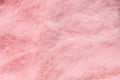 Pink fur texture top view. Coral fluffy fabric coat background.Winter fashion color trends feminine flat lay female blog