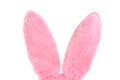 Pink Furry Bunny Ears on white with copy space