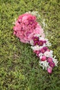 Pink Bouquet Pastel Theme Royalty Free Stock Photo