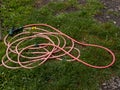 A pink garden hose laying on the ground in the grass Royalty Free Stock Photo