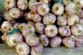 Pink garlic from Lautrec