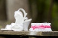 Pink Garter and Wedding Shoes Royalty Free Stock Photo